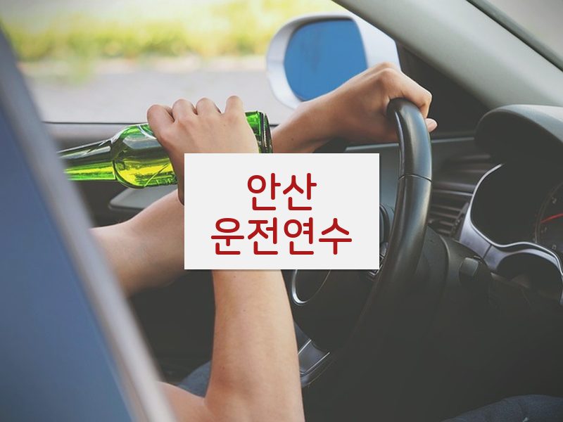 안산운전연수 후기