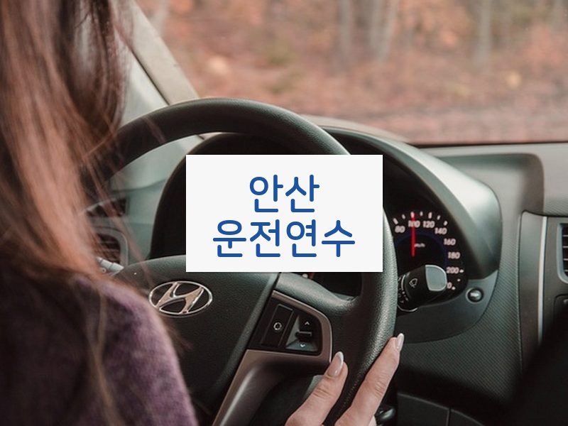 안산운전연수 후기