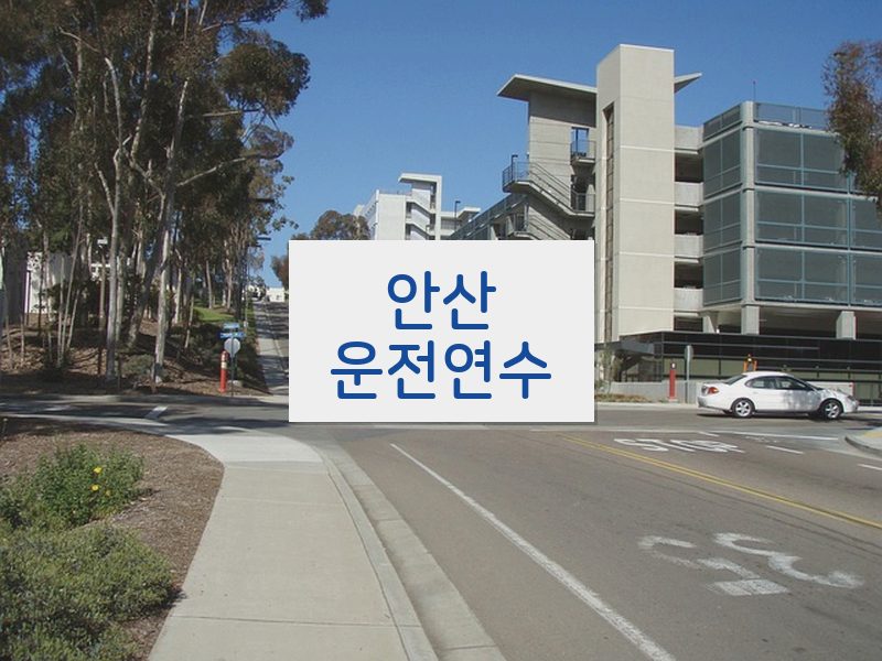 안산운전연수 후기
