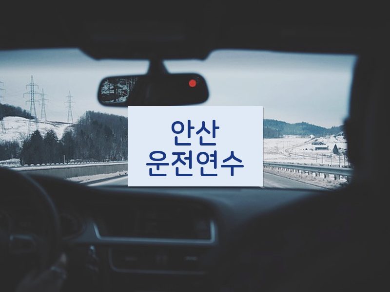 안산운전연수 후기