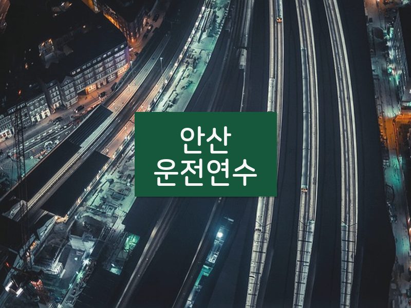 안산운전연수 후기