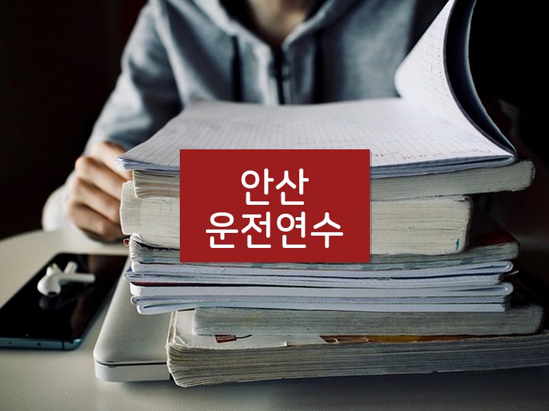 안산운전연수 후기