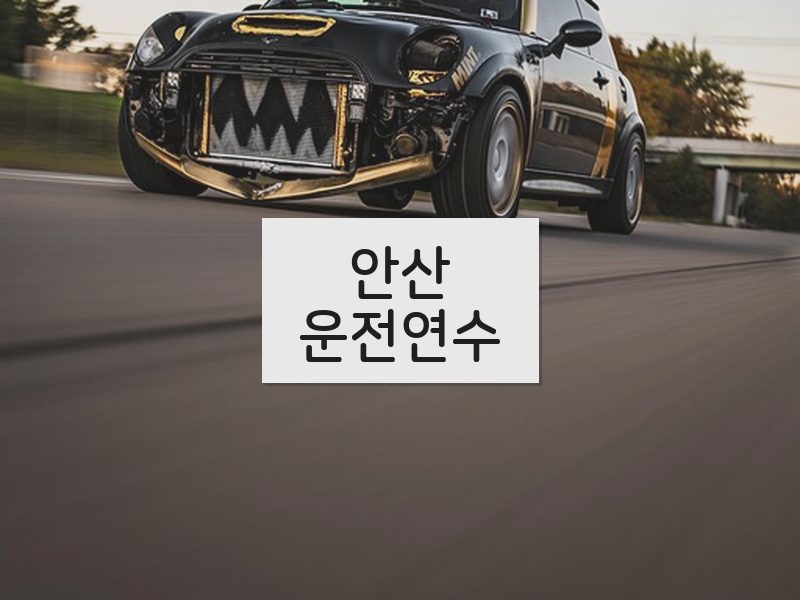 안산운전연수 후기