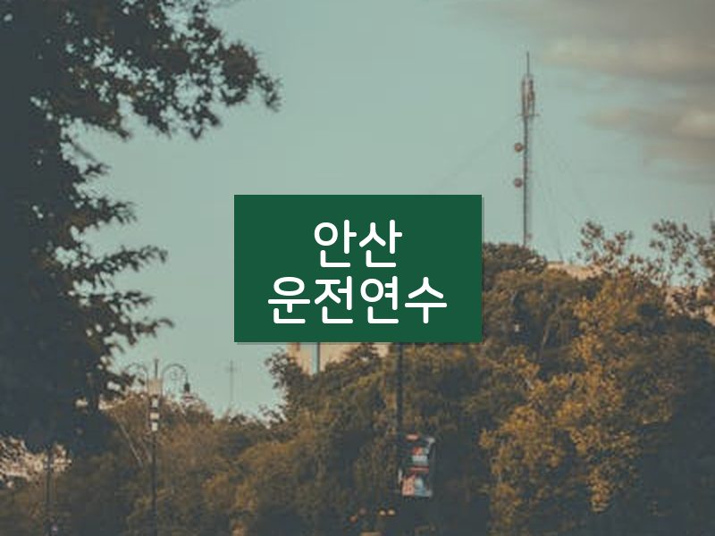 안산운전연수 후기