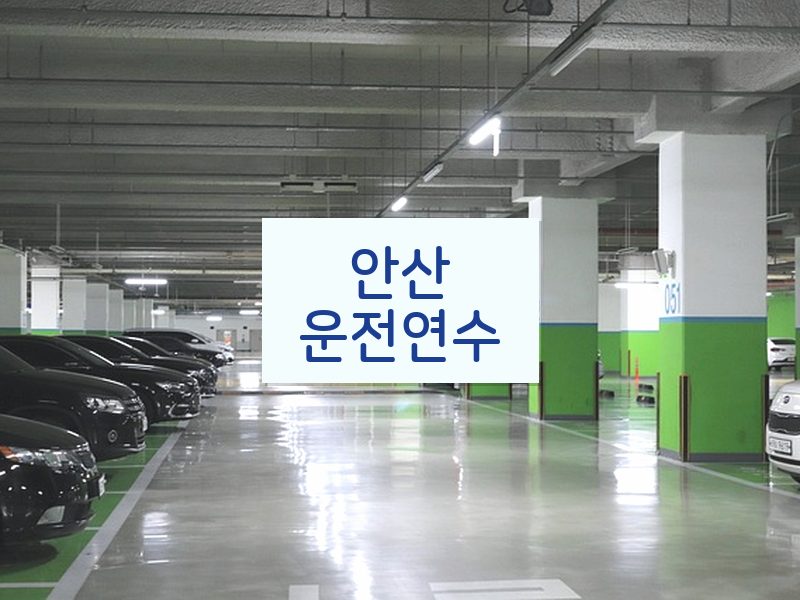 안산운전연수 후기
