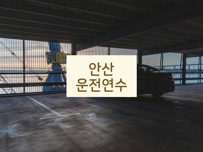 안산운전연수 후기