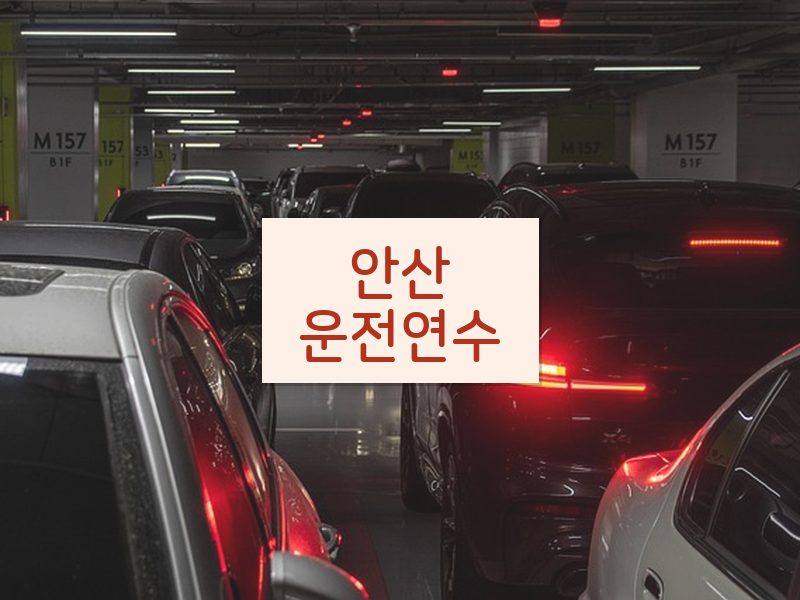 안산운전연수 후기