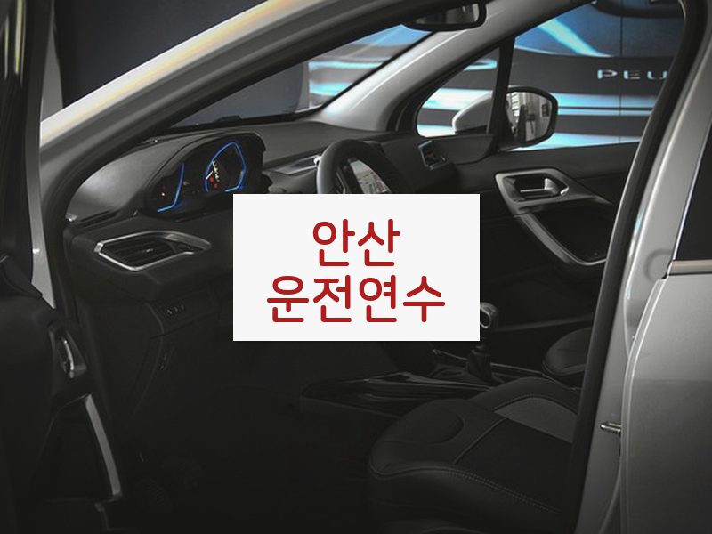 안산운전연수 후기