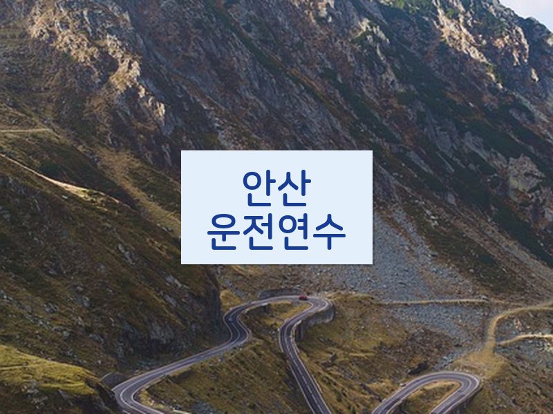 안산운전연수 후기
