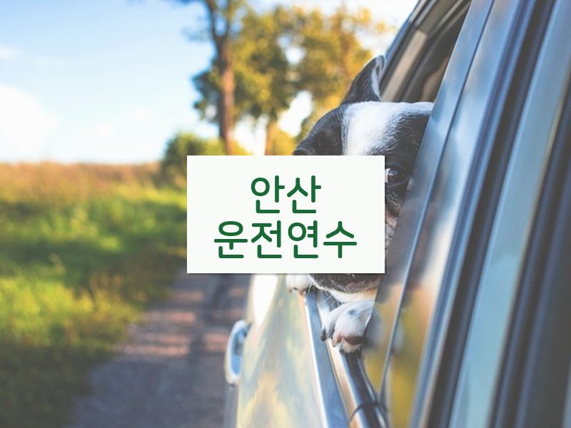 안산운전연수 후기
