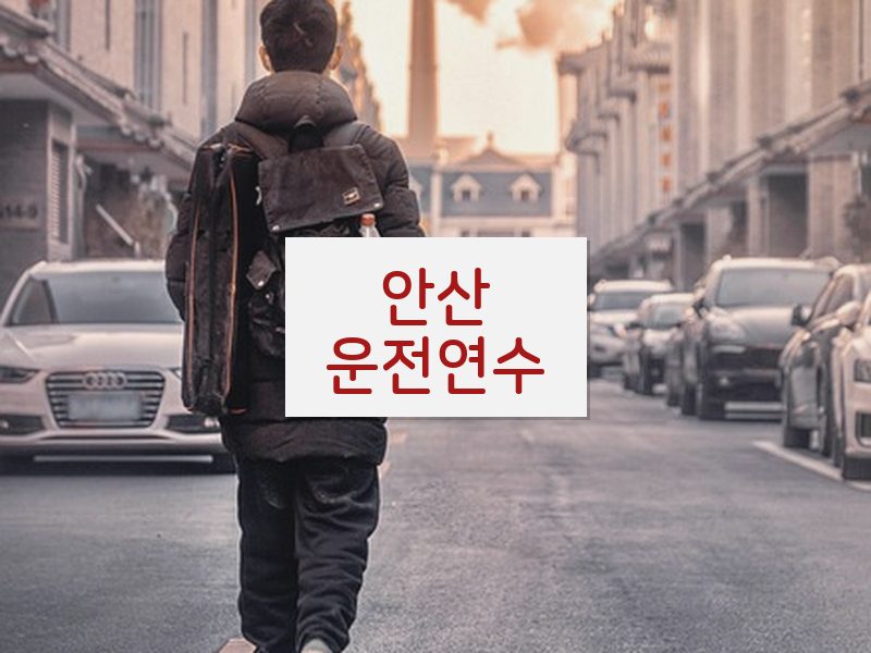 안산운전연수 후기