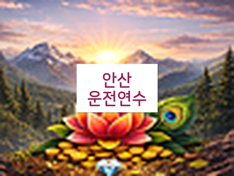 안산운전연수 후기