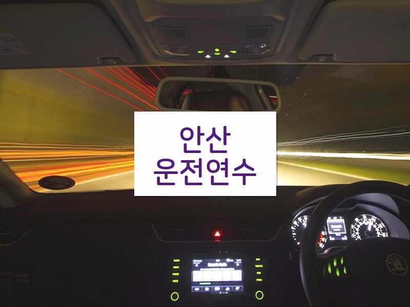 안산운전연수 후기