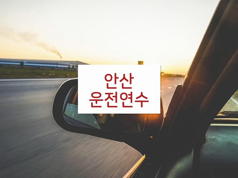 안산운전연수 후기
