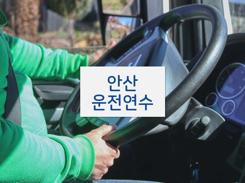 안산운전연수 후기