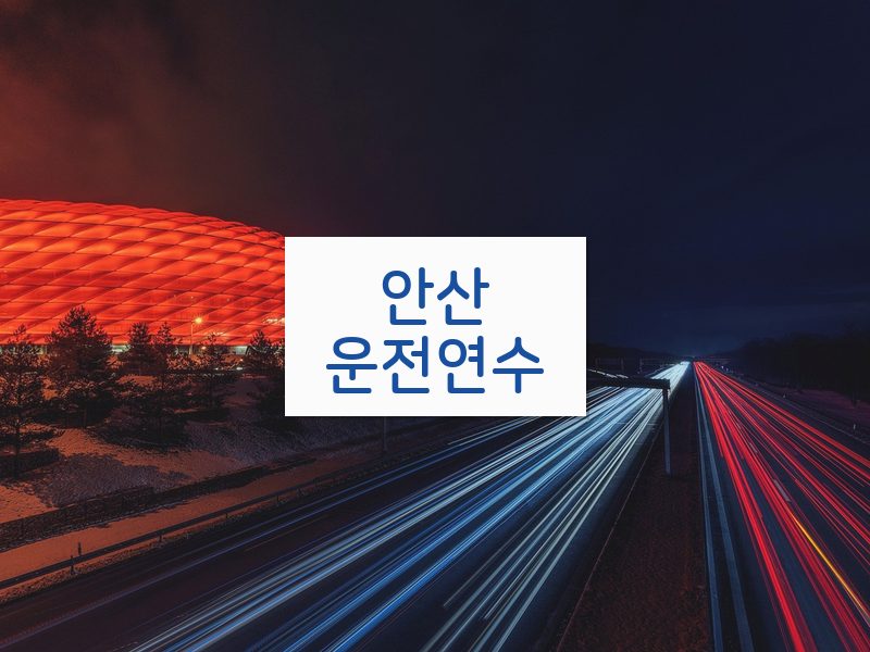 안산운전연수 후기