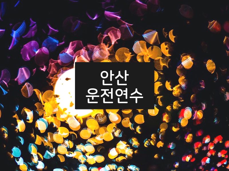 안산운전연수 후기