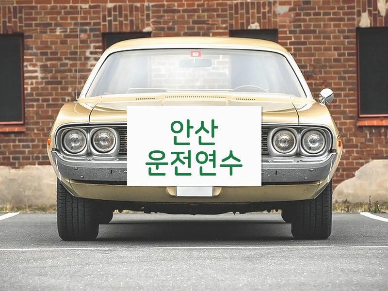 안산운전연수 후기