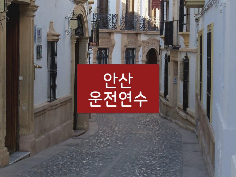 안산운전연수 후기