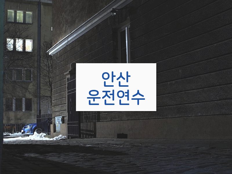 안산운전연수 후기