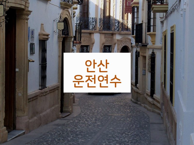 안산운전연수 후기
