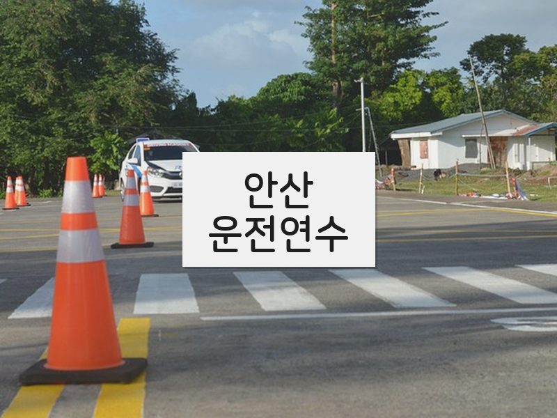 안산운전연수 후기