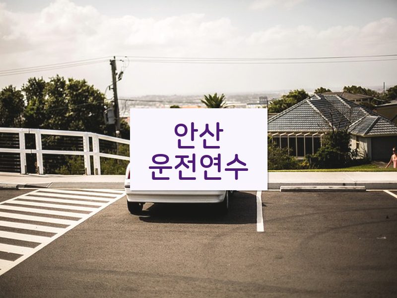 안산운전연수 후기