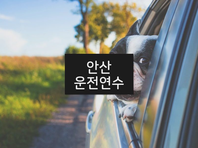 안산운전연수 후기