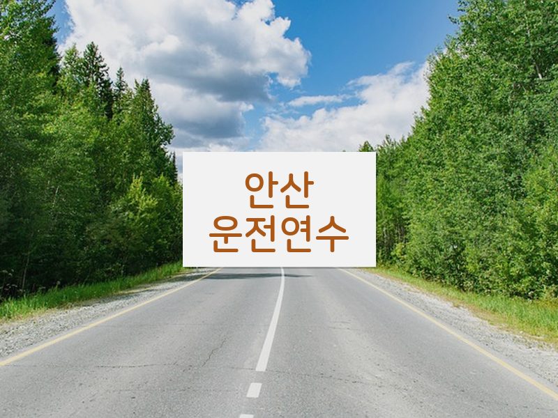 안산운전연수 후기