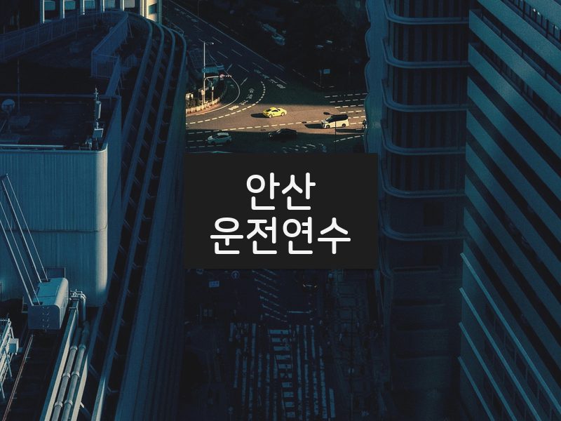 안산운전연수 후기