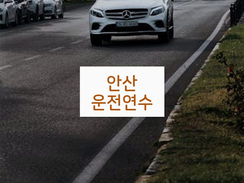 안산운전연수 후기