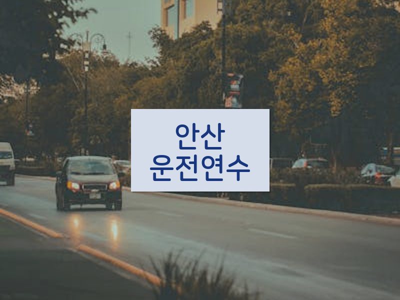 안산운전연수 후기