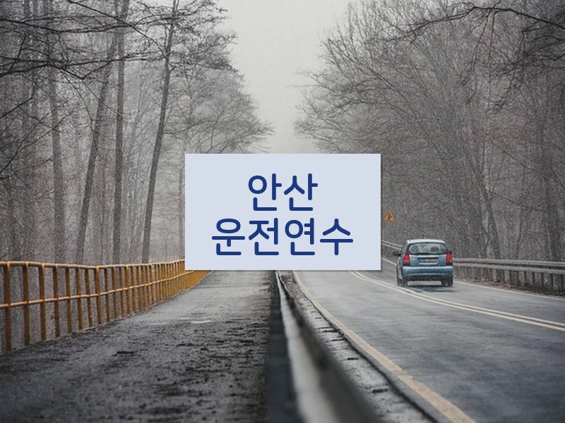 안산운전연수 후기