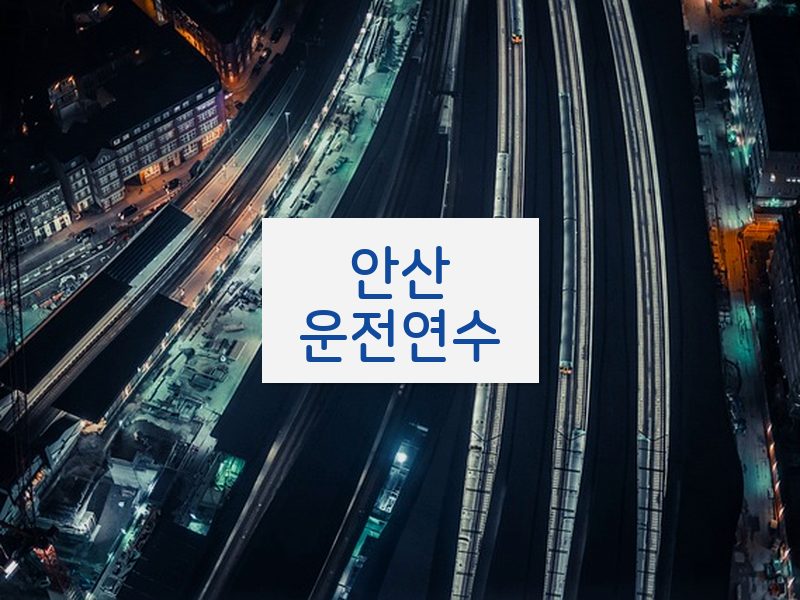 안산운전연수 후기