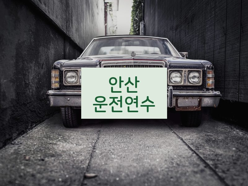 안산운전연수 후기