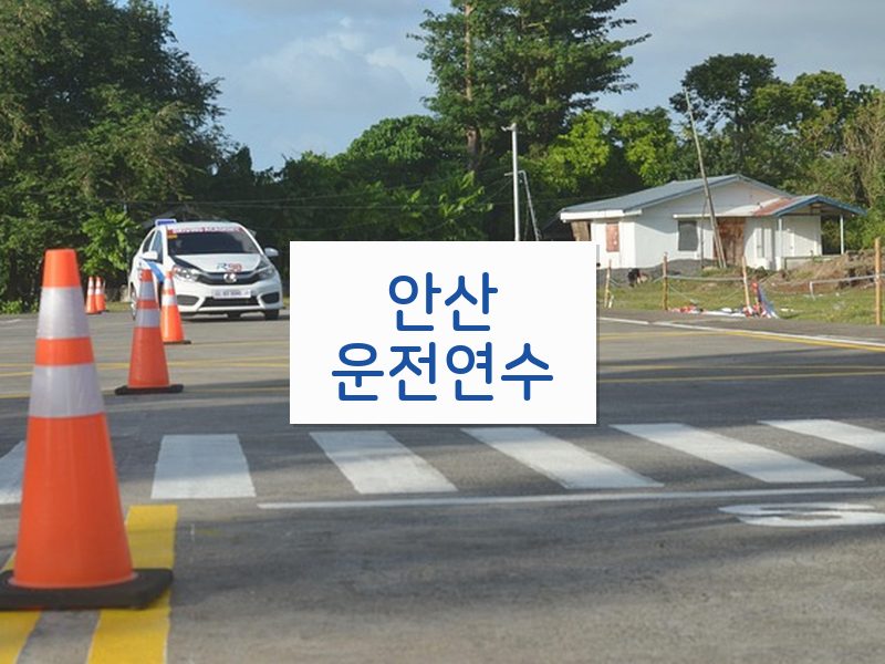 안산운전연수 후기