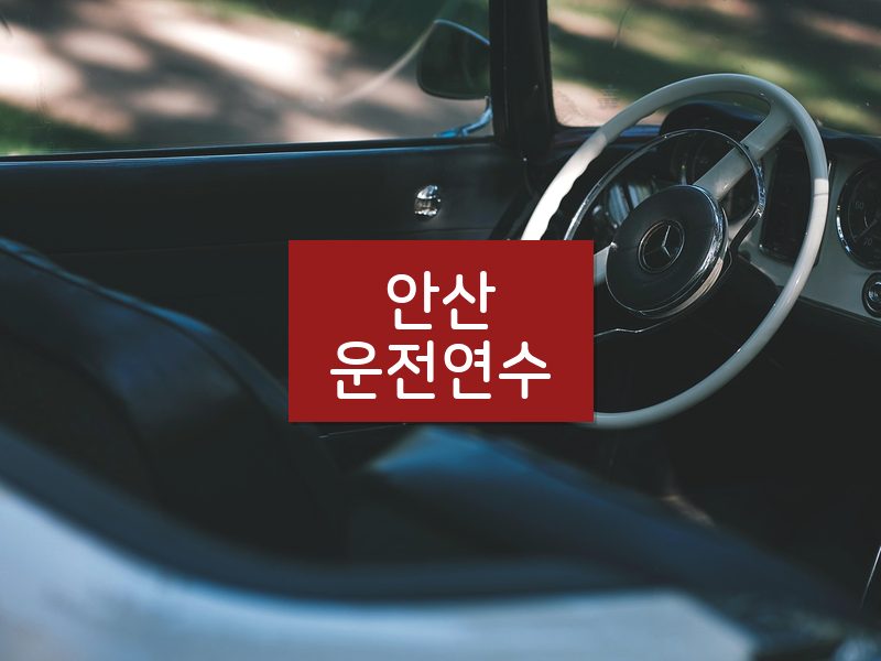 안산운전연수 후기