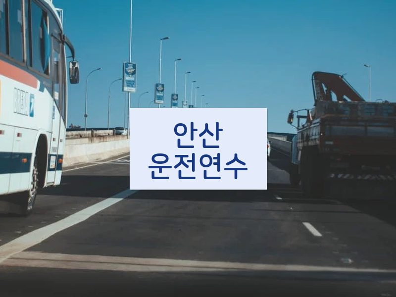 안산운전연수 후기