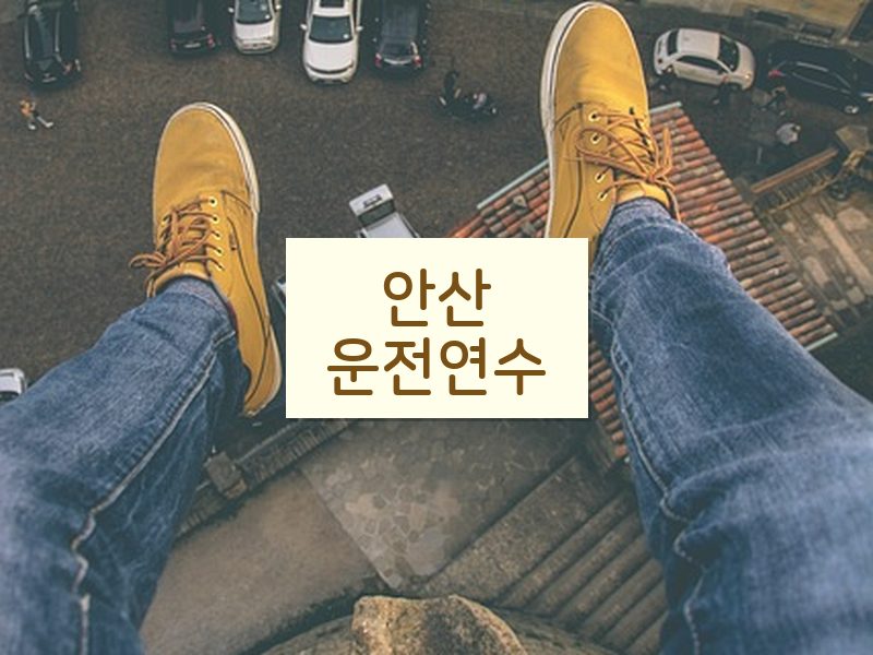 안산운전연수 후기