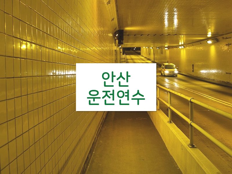 안산운전연수 후기