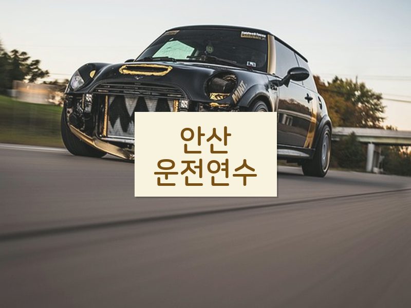안산운전연수 후기