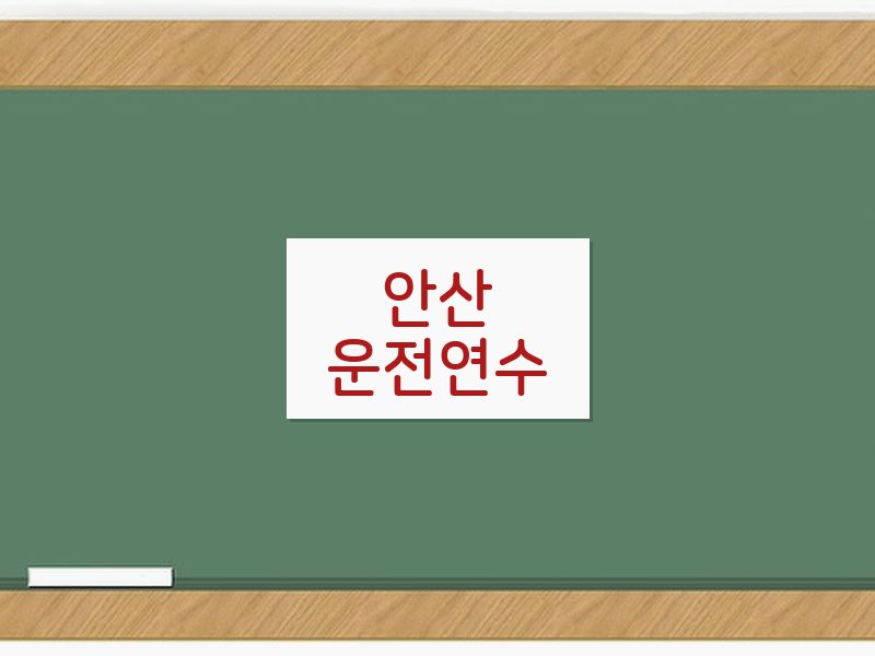 안산운전연수 후기