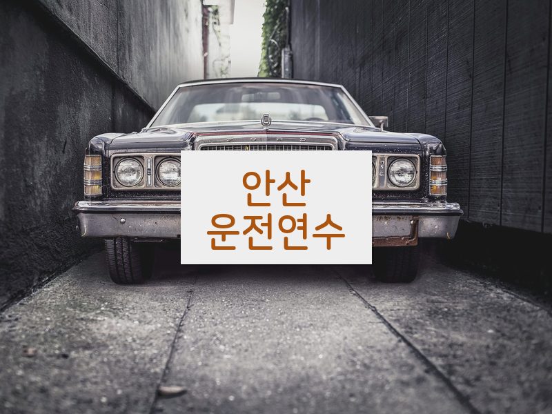 안산운전연수 후기