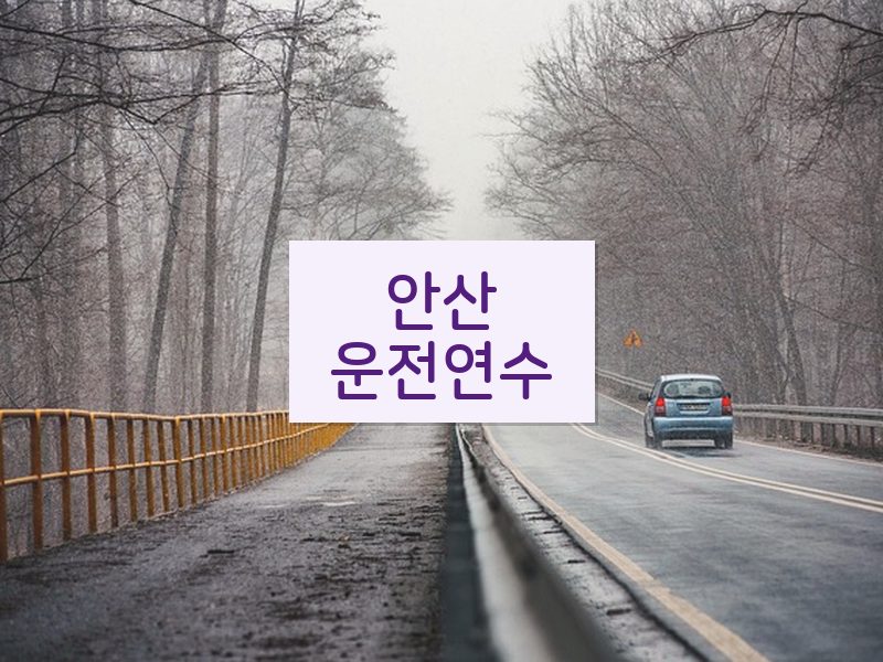 안산운전연수 후기