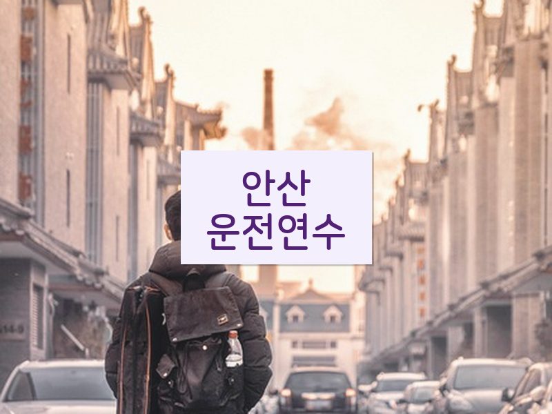 안산운전연수 후기