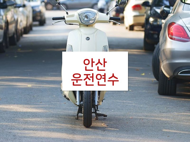 안산운전연수 후기