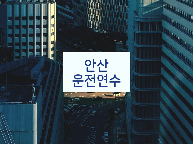 안산운전연수 후기