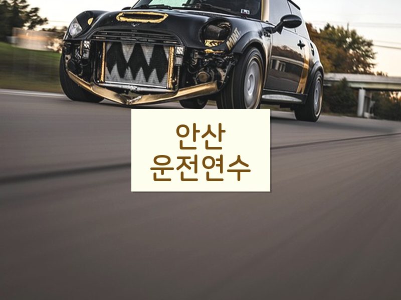 안산운전연수 후기