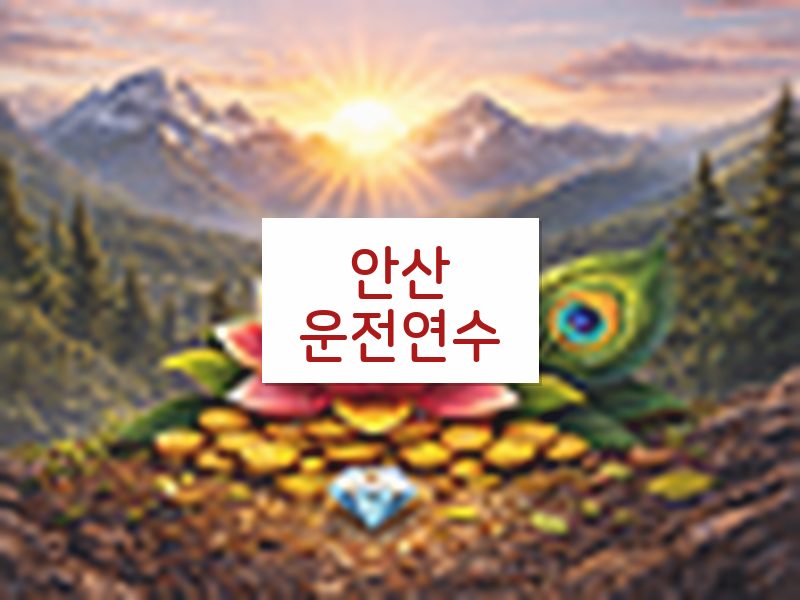 안산운전연수 후기