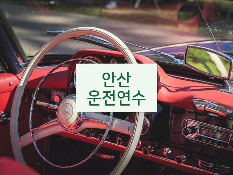 안산운전연수 후기